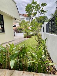 Upper East Coast Road (D16), Terrace #503431951